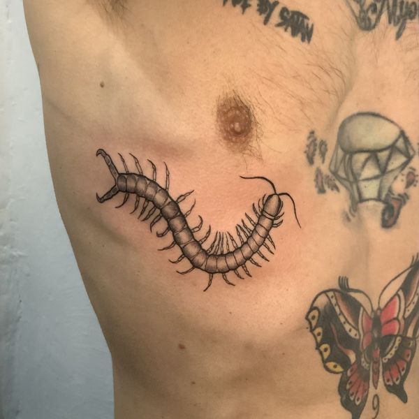 Tattoo escalopendra