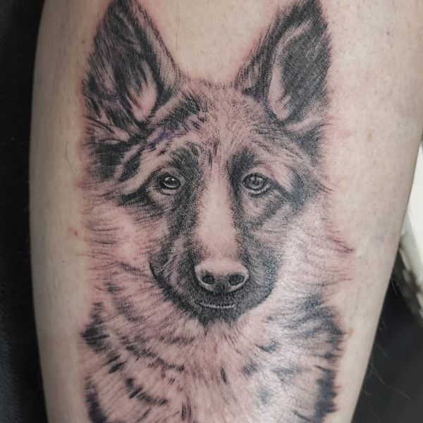 Tattoo Pastor alemany