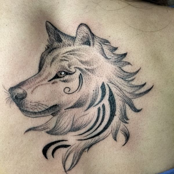 Tattoo Llop