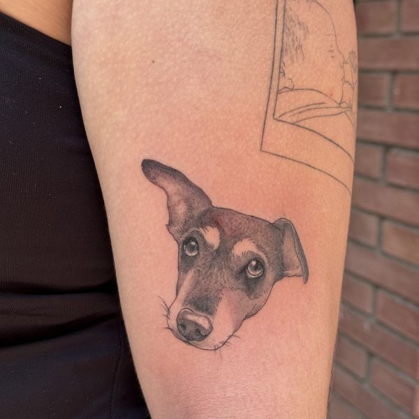 Tattoo gos