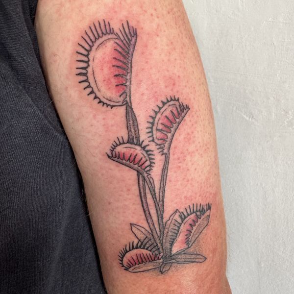 Tattoo planta carnívora